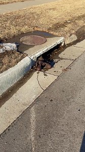 7M views · 126K reactions | Cutest Valentines Gift for My Daughter ❤️  This video was produced by Network Media and Benson Bros | Las Vegas Actor Showcase | Facebook