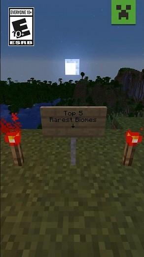TOP 5 RAREST BIOMES IN MINECRAFT