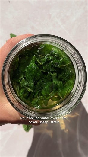 Fresh Mint Tea (Hot or Iced!) | Minimalist Baker Recipes
