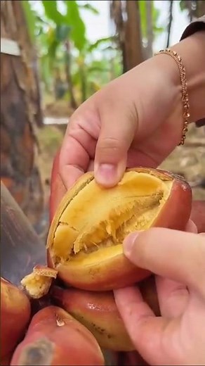 #banana 🍌 #agriculture #facts #farming #viral #trending #factbysubhash #knowledge #birdtrend