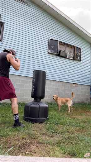 Century bag striking drill | improving my punch | #kempo #martialarts #punching