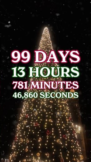 Haul out the holly because Christmas will be here before we know it! 🌲