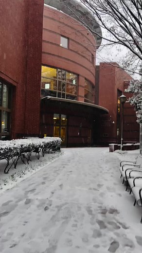 Beautiful snow flakes ❄️ #tiktokviral #snowday #fun