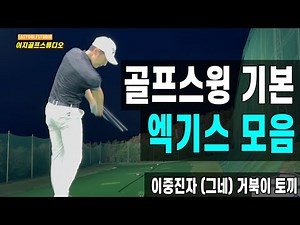 [골프스윙 기본] 드라이버 & 아이언 엑기스 모음 (거북이 토끼, 진자 스윙 3단계)