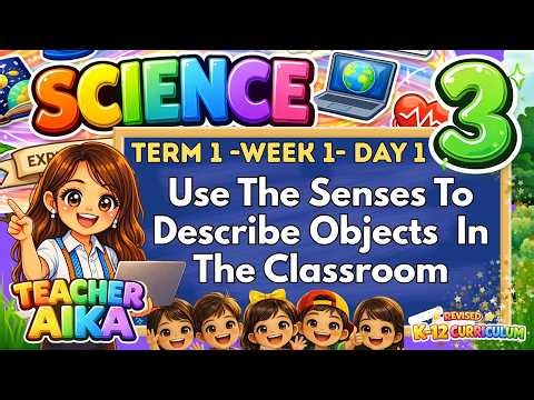 TERM 1 SCIENCE 3 Week 1 Day 1 Use The Senses To Describe Objects In The Classroom