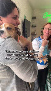 Charlie is a 9 week old puppy who went through an entire adoption event yesterday and no one took him home!! He has been available for weeks and we don’t get it! Apply for Charlie at dallaspetsalive.org!! He is waiting for you ❤️‍🩹🏡 #adopt #adoptable #adoptdontshop #adoptme #puppy