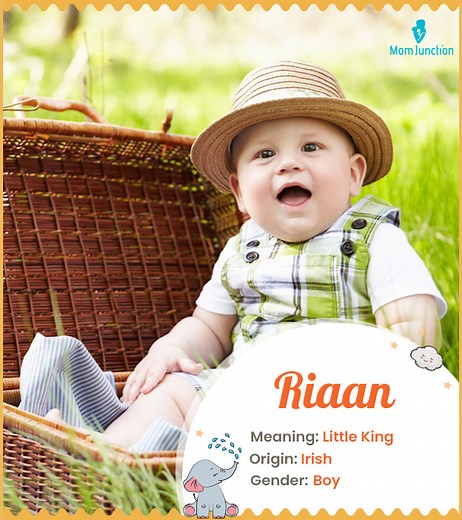 Riaan Name Meaning, Origin, History, And Popularity