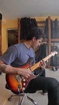 Guitarra Tagima Strato Woodstock TG530 | Sound Test