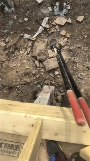 Bulb planter drop from high up💡