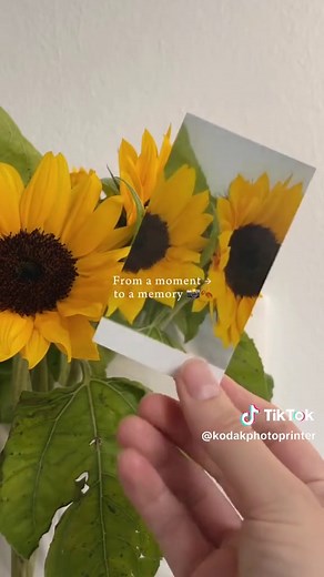 Capture Memories with the Mini 2 Retro Printer