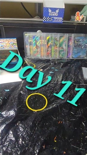 Tapu Lele Day 11 #pokemon #tapulele