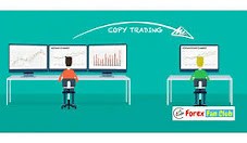 Is Copy Trading profitable ?