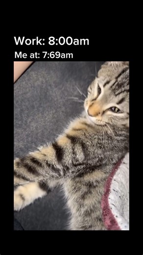 let's go #funny #meme #memes #funnyshorts