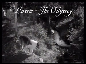 Lassie - Episode #278-279-280 - "The Odyssey - I, II, III" - Season 8 Ep.23-24-25 - Feb & Mar 1962