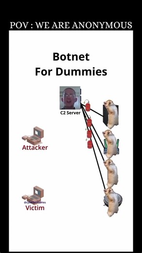 Botnet for Dummies: Is Your PC a Zombie? 🧟‍♂️💻