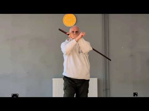Yang Style Tai Chi Sabre Form No 1 Instructional Video