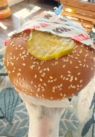 Thank You Burger King for the Whopper