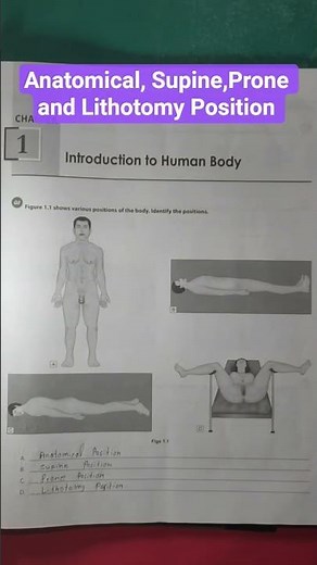 Anatomical, Supine,Prone and Lithotomy Position .