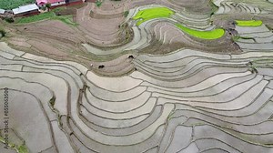 Nepal agriculture method for rice farming with Nepal ariel view