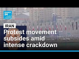 Iran protest movement subsides amid intense crackdown • FRANCE 24 English