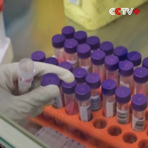 1.5K views · 56 reactions | The city of Harbin, #Heilongjiang Province, has set up a mobile, inflatable lab in just 18 hours capable of testing over 60,000 tubes of nucleic acid samples a day to fight a COVID-19 outbreak that hit the city late last month. #ChinaSpeed The mobile lab, located at a sports center, is currently accommodating staff members from seven local medical institutions. It supports on-site testing for swab samples. | Xi's Moments | Facebook