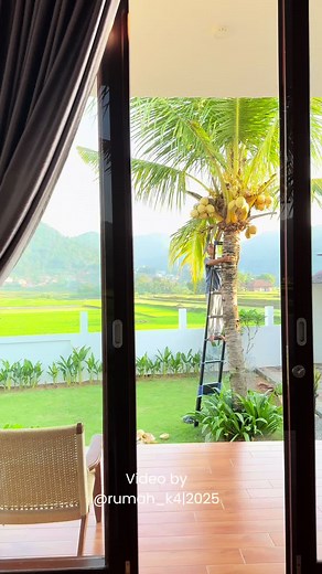 Manfaat Pohon Kelapa dalam Kehidupan Sehari-hari