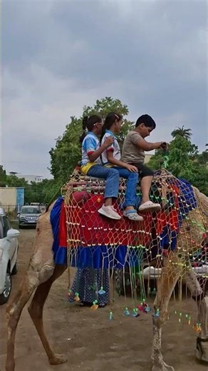Enjoying Mela 2025 | Camel & Horse Riding | Fun, Food & Festival Vibes