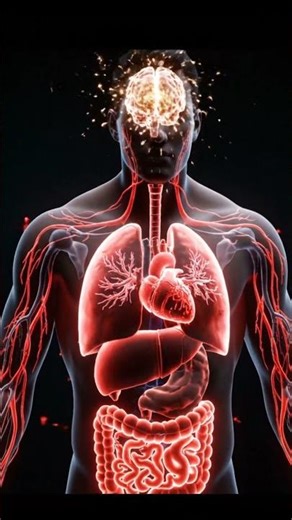 🛑 Your Heart is FAILING! Watch a Pulse Incident Inside Your Body (3D)