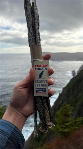 The Spirit of Newfoundland & Labrador are in every single cod skin we make. Cod skins are not waste. They are an incredible source of protein and collagen we can upcycle to premium and healthy pet products. #landandsea #landandseapets #landandseacodskins #explorenl #tourism #hikingwithdogs #canadiandogs #healthydogs | Land & Sea Pets