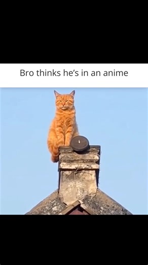 2.9K views | Staring into the anime sunset | Universal World | Facebook