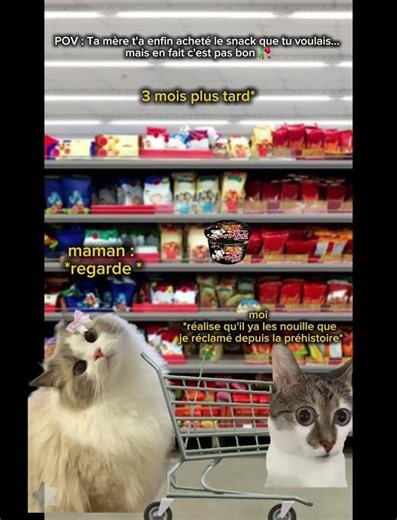 #pov : cest pas bon... #humour #chat #comedie #funny