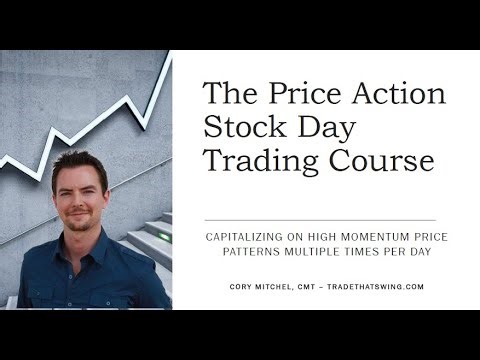 What You'll Learn in the Price Action Stock Day Trading Course (TradeThatSwing.com)