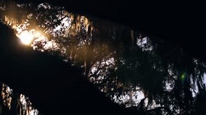 2.7K views · 23 reactions | Live Oak International is only 30 days away and On Top of the World Communities is a proud sponsor! From March 7 to 10, 2019, this one-of-a-kind event will host the best combined driving and show-jumping professionals in the equestrian world. Get your tickets for Live Oak International today! > https://bit.ly/2RLJO4l. | On Top of the World Communities - Ocala, FL | Facebook