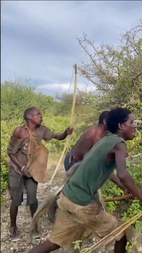 Traditional African Hunting Skills | African Tribes & Wild Adventure. #shorts #viralvideo