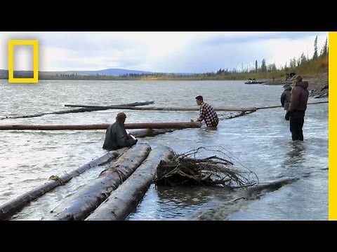 Swedish Ingenuity | Yukon River Run