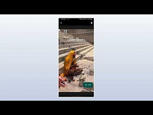 Status Saver - Save and Share WhatsApp Statuses Easily