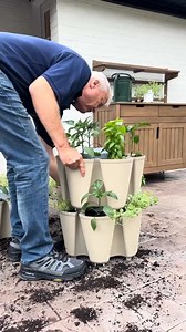 Ready to start your own garden? With GreenStalk, you can have fresh herbs, veggies, and leafy greens on your patio or deck! 🪴 Just stack, plant, and water – GreenStalk makes gardening easy and accessible for anyone, anywhere. Order yours now! | GreenStalk Garden