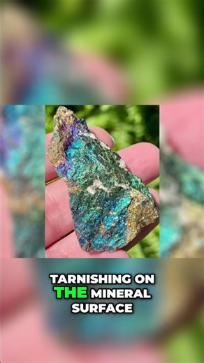 Boronite: The Mesmerizing Peacock Ore Mineral #shorts