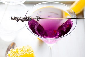 Lavender Elderflower Martini Recipe — The Boozy Mermaid Cocktail Co.