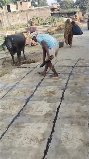 10 HP Indian Concrete Cutter Machine | Available on IndiaMART