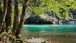 River, Trees, Rocks. Free Stock Video