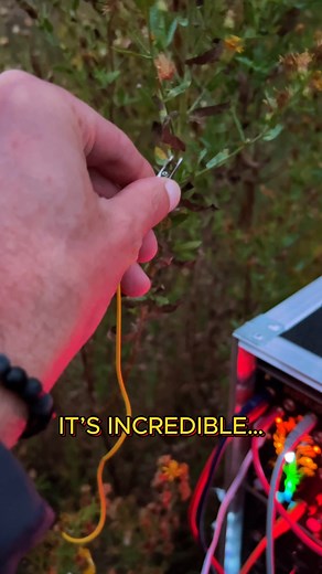 73K views · 2.4K reactions | It’s truly amazing to feel the vibration of plants and turn that living energy into music. Every signal, every sound, is a heartbeat of nature itself. Too bad I didn’t bring the vibrational chair today.  #BioMusicVibrations #PlantMusic #432Hz #ThetaWaves #SoundHealing #HealingVibrations #NatureEnergy #DeepMeditation #ModularSynth #InnerPeace #Tagueda | Bio Music Vibrations | Facebook