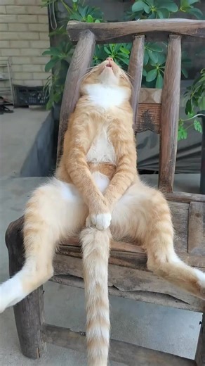 Putra Senget | Sopan je kau tdo ya | Instagram