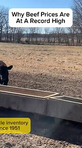 147K views · 631 reactions | Cattle prices are at a record high, while the USDA says the supply is at its lowest point since 1951. Prices in Oklahoma have increased more than 61% the last two years. | KOTV - News On 6 | Facebook