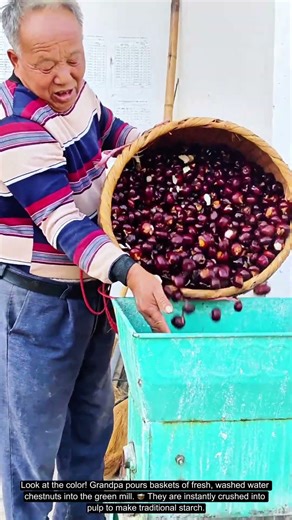So Satisfying! Pouring Red Water Chestnuts into the Grinder