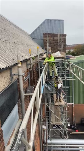 Understanding Scaffolding Life and Techniques