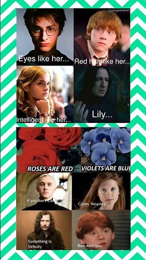 Harry Potter Memes 😂 That Are Too Funny To Ignore 😂⚡#shorts #funny #memes #shortsfeed