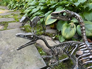 Life Size Steel Compsognathus Skeletons - Etsy