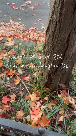 DC, you’re un-fall-gettable! 🍁🧡 Drop your favorite DC spots in the comments. 🎥: Sriram Naidu Thota (ISAI ‘26) | Johns Hopkins University Carey Business School