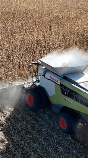 #corn #harvesting in SE Nebraska 2025. Up close and aerial. #johndeere #kinze #claas